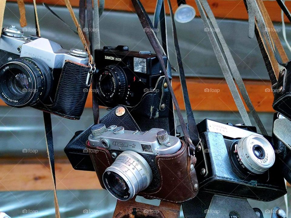 Old models of cameras from different years hang on a wooden showcase.