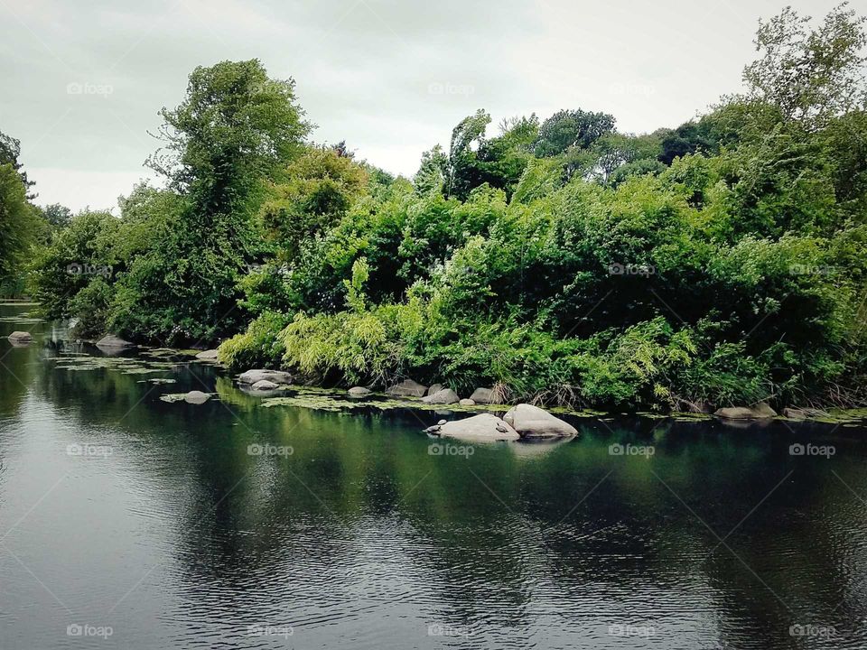 Prospect Park, Brooklyn, NY
