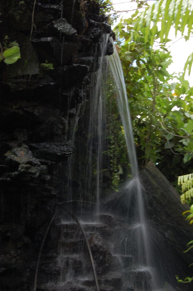 Garden waterfalls
