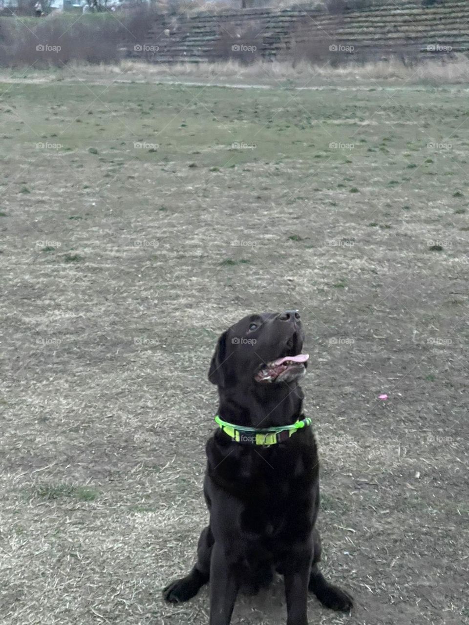 Enjoying playing with frisbee