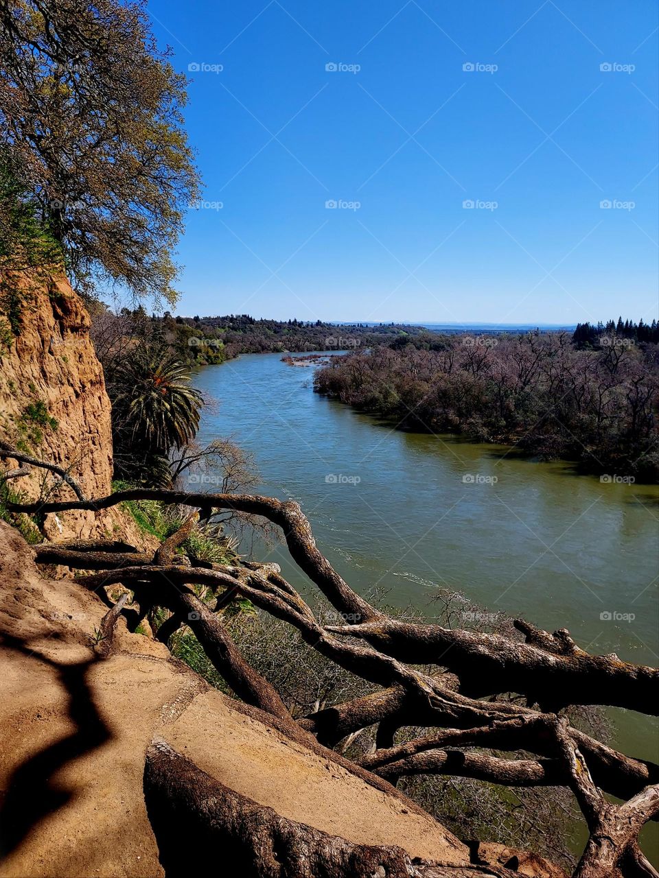 Landscape on top of the bluff in the city of Fair Oaks California