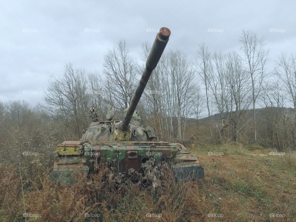Camouflage tank