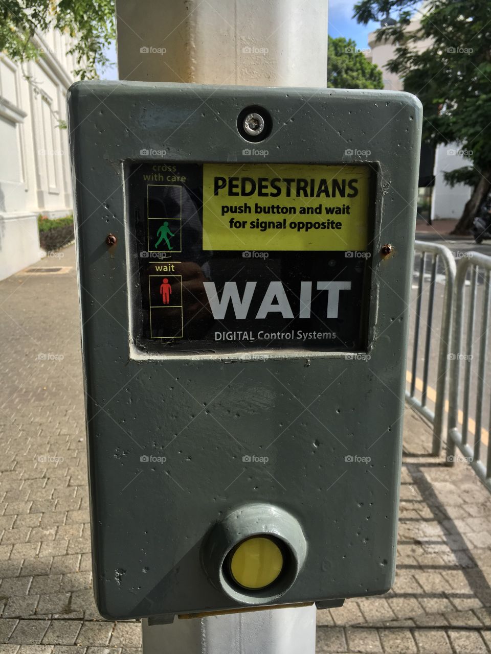 Pedestrian Signal Crossing