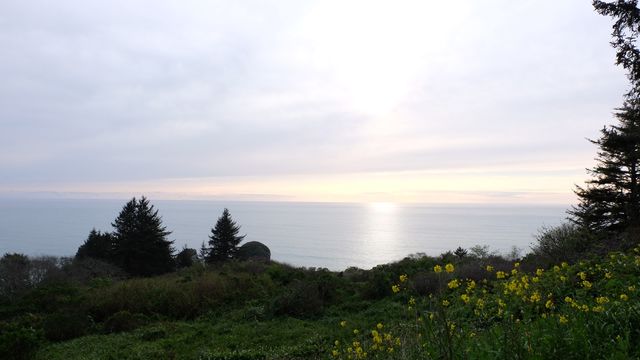 Unusually calm waters of the ocean at dusk