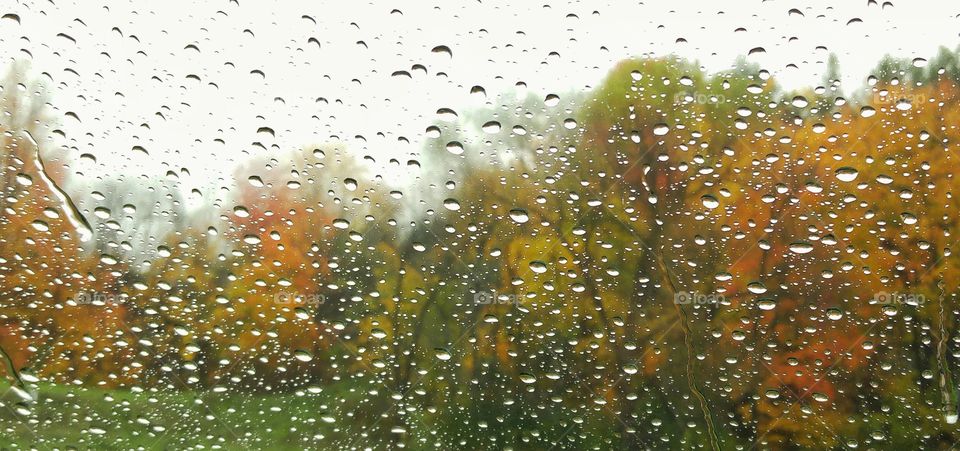 Colors of Autumn through the rain
