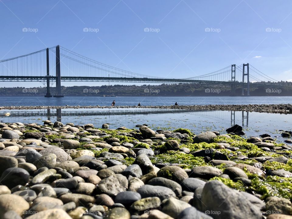 View of the Tacoma Narrows Bridge from Narrows Beach Park in Gig Harbor, WA