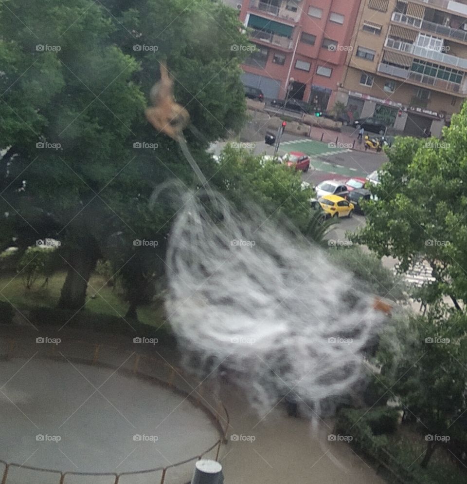 Arañita cargando la mopa de algodon