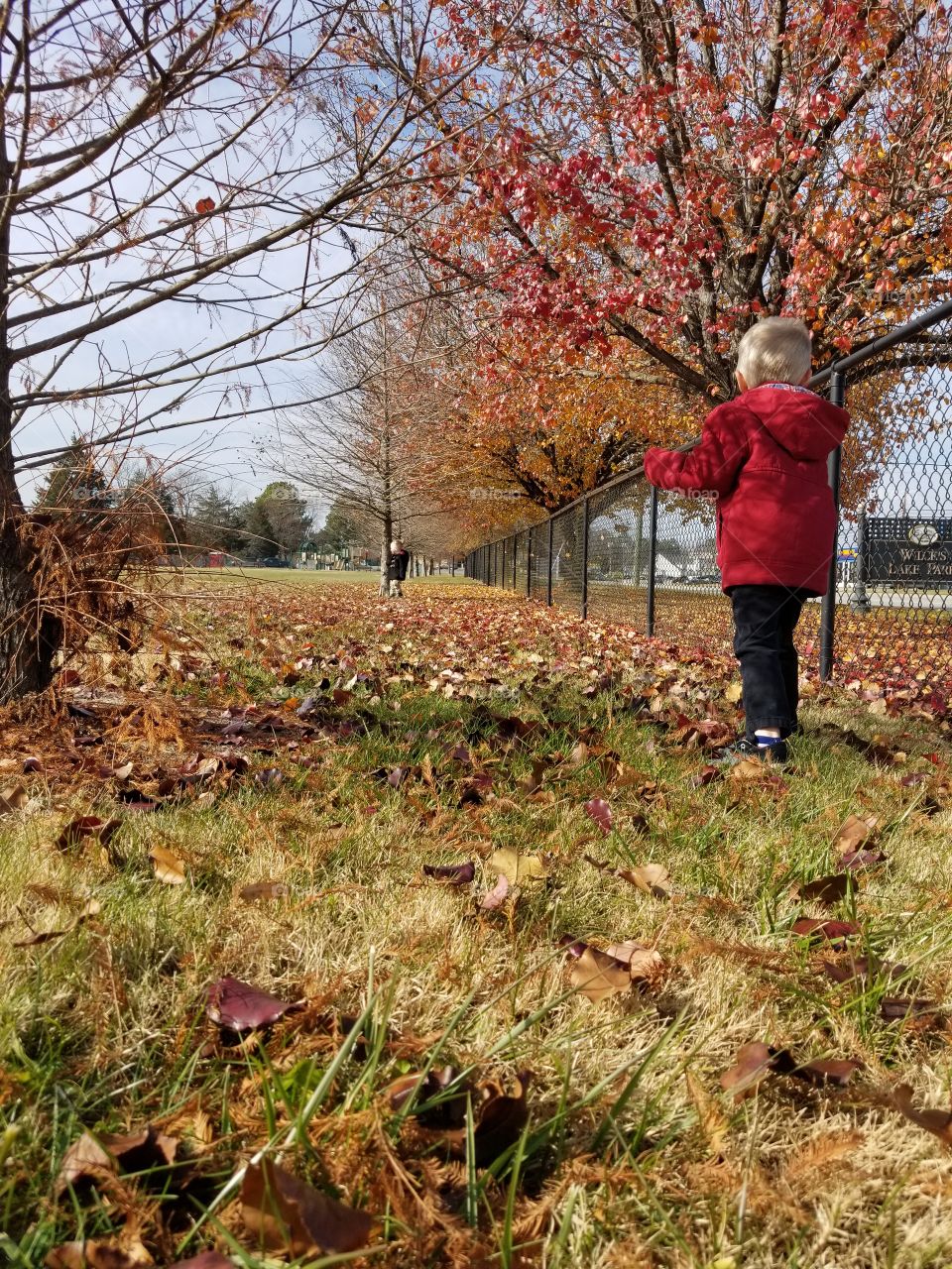 two toddlers playing in the park in autumn