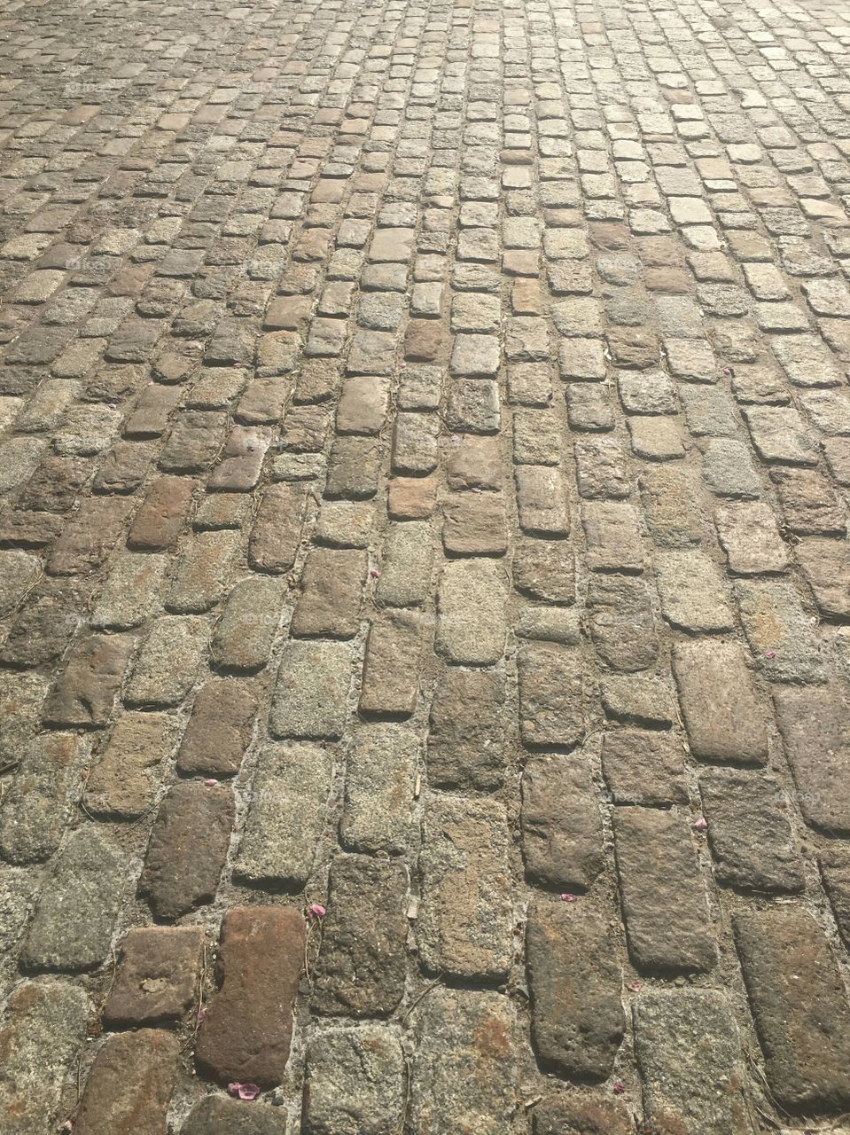 Cobbled Streets