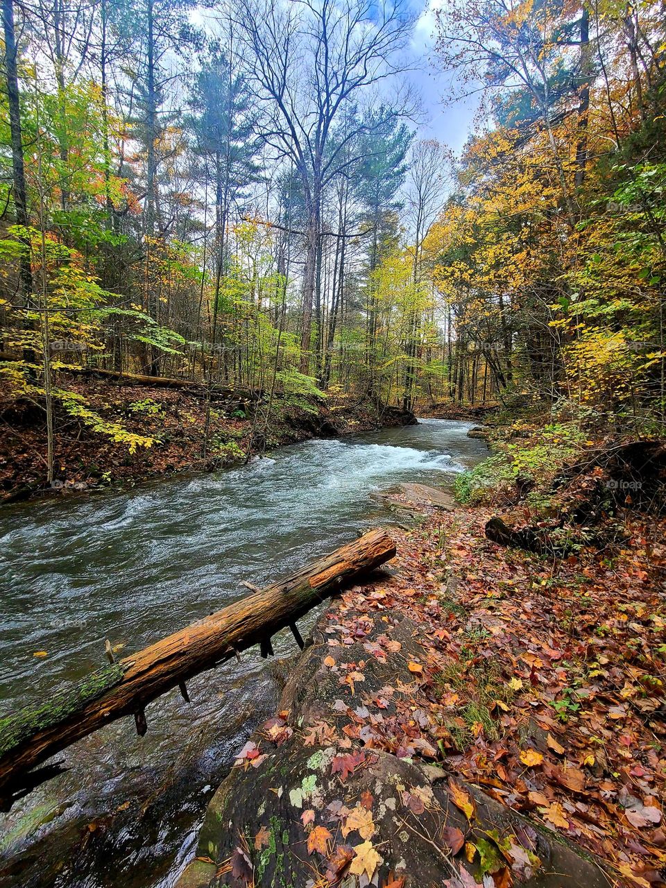Fall Hike by the Creek