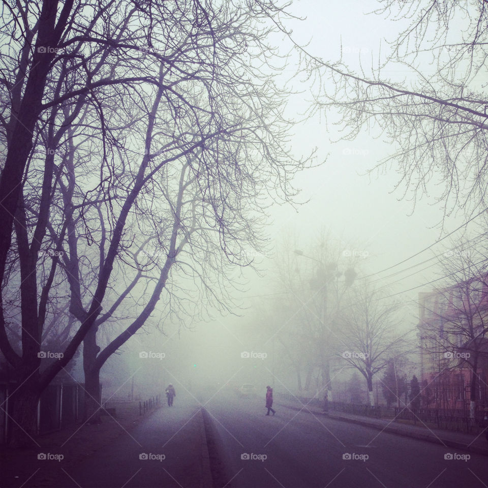 Solid fog in the city streets