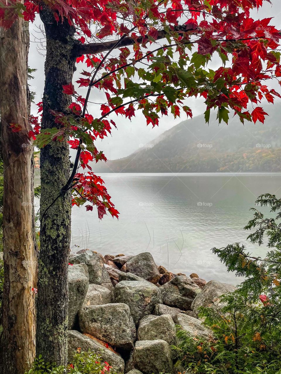 Magical Autumn Mist.  The vibrant red of fall leaves and glacial rocks frames a misty lake.