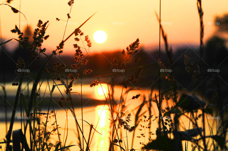 Spectacular sunset over the estuary; shot #2. I heightened the exposure to accentuate the grasses in the foreground. The background mountains, tree line, sun & sky are blurry & the sun glows strongly in the sky & on the water. 