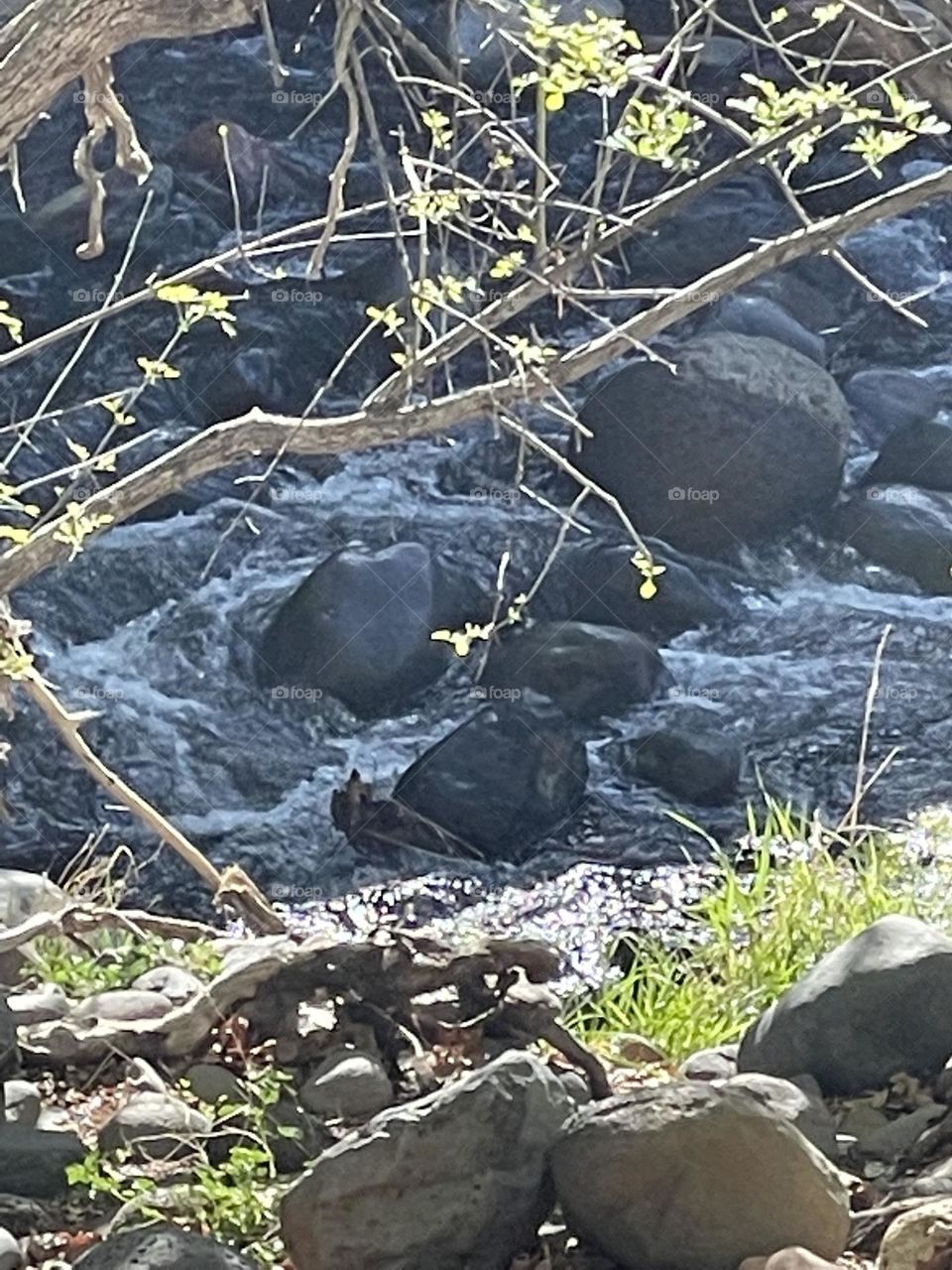 Awesome river sounds 