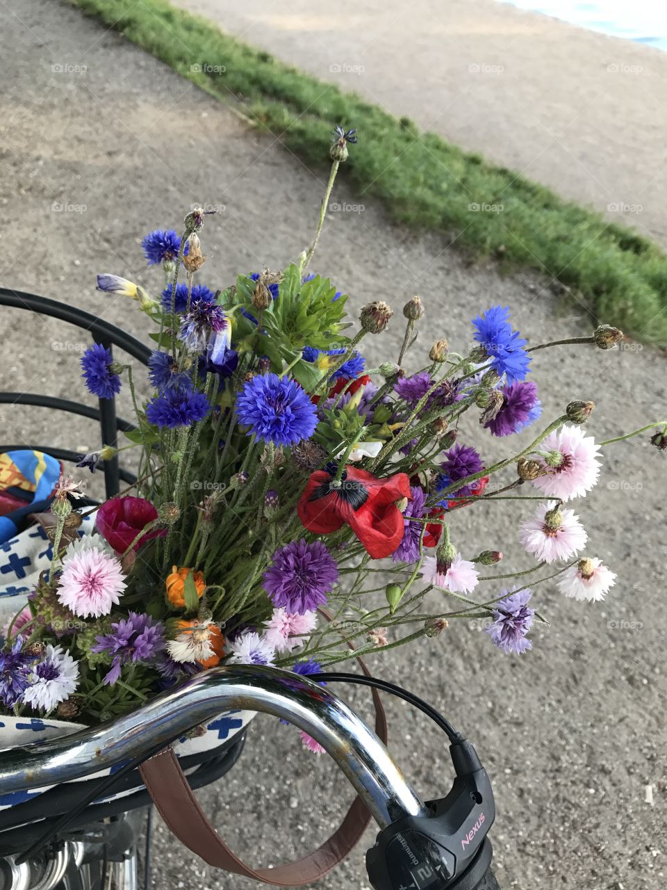 Wild flower bouquet in bicycle basket