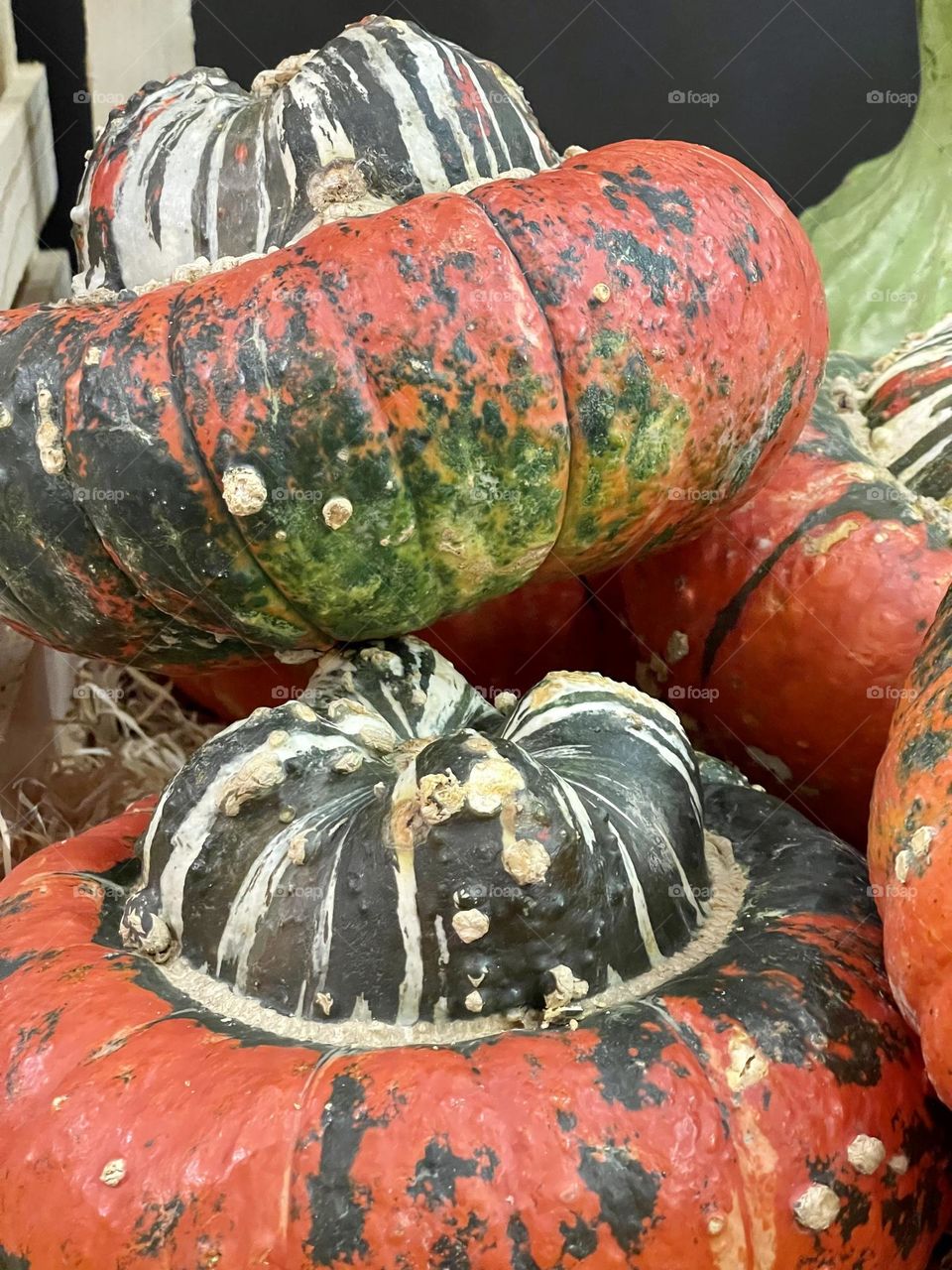 Turban squash pumpkins close up, autumn harvest, orange and green pumpkins, vegetable market stand 