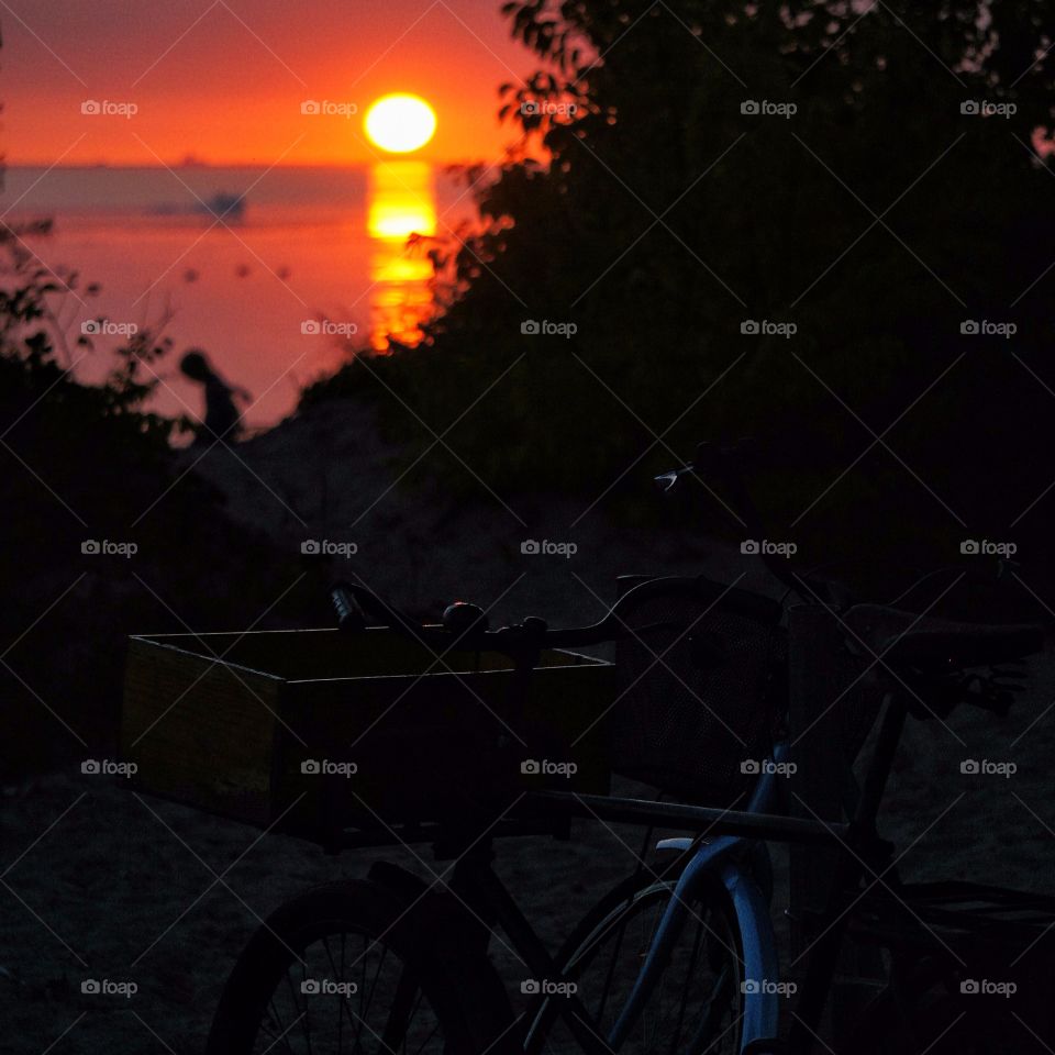 Bikes in sunset