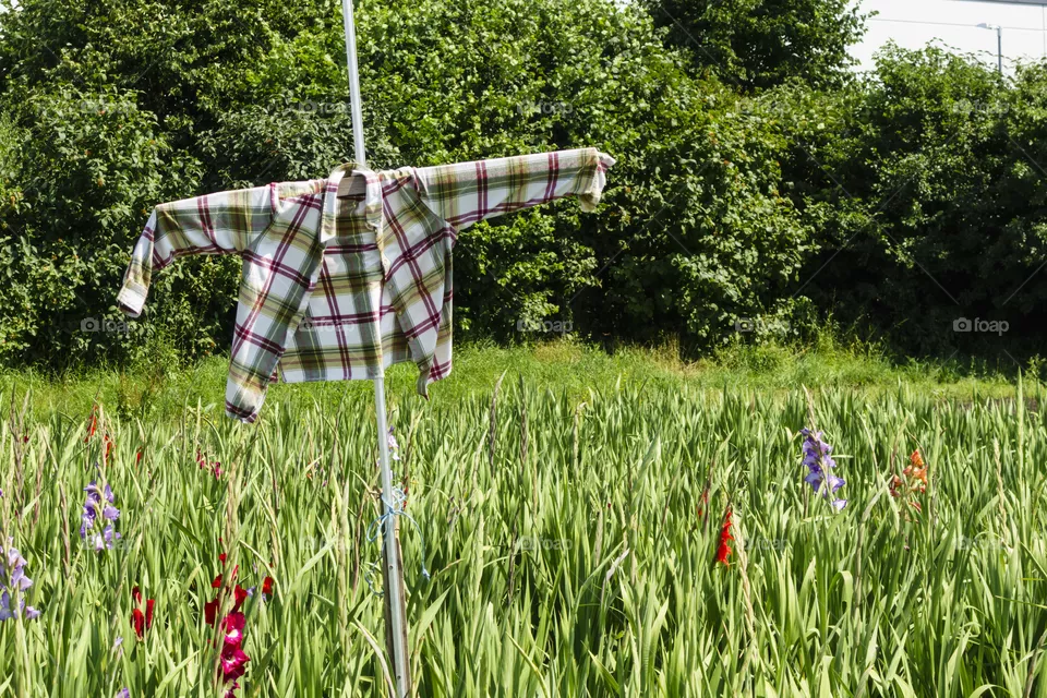 Scarecrow