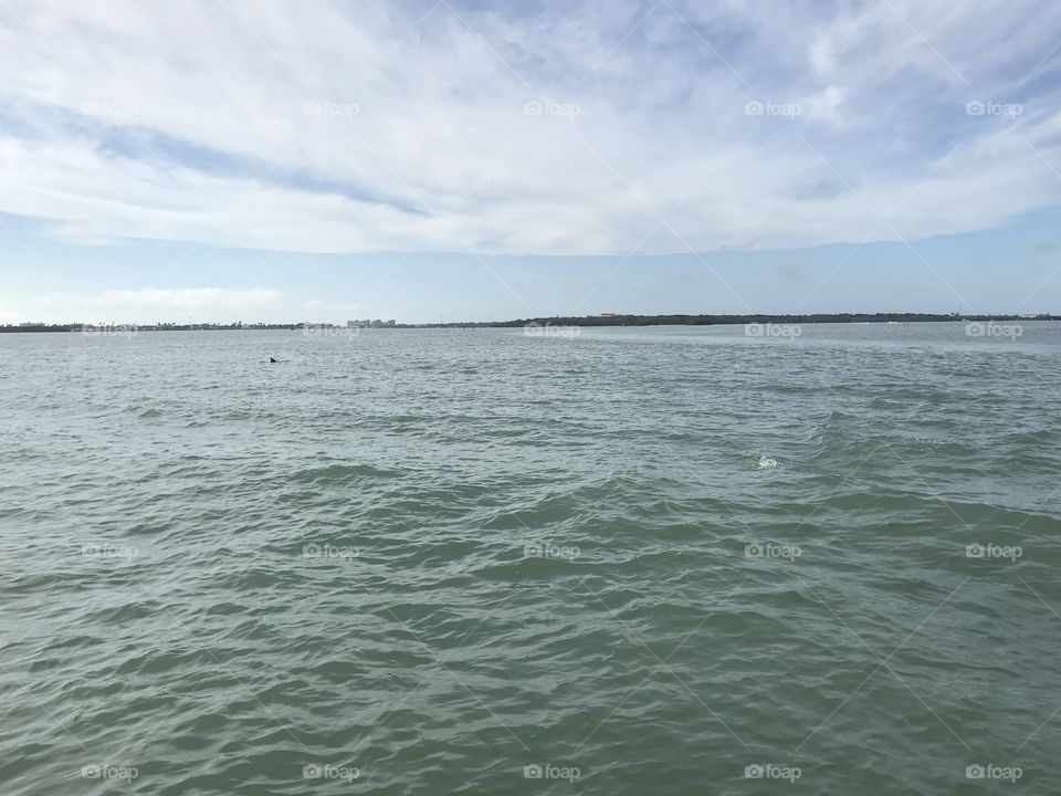Calm waters looking out to a nature preserve island