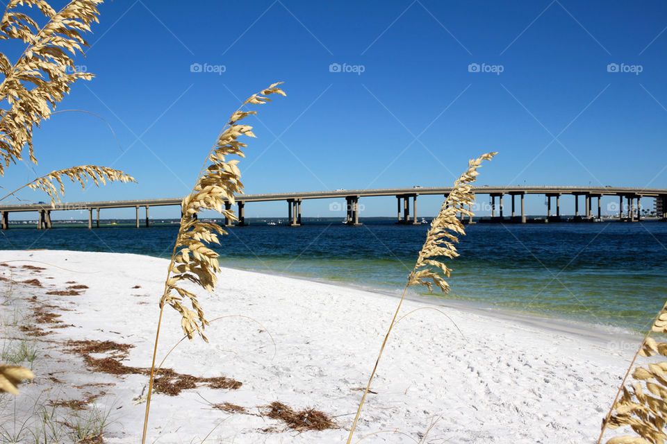 Scenic view of a beach