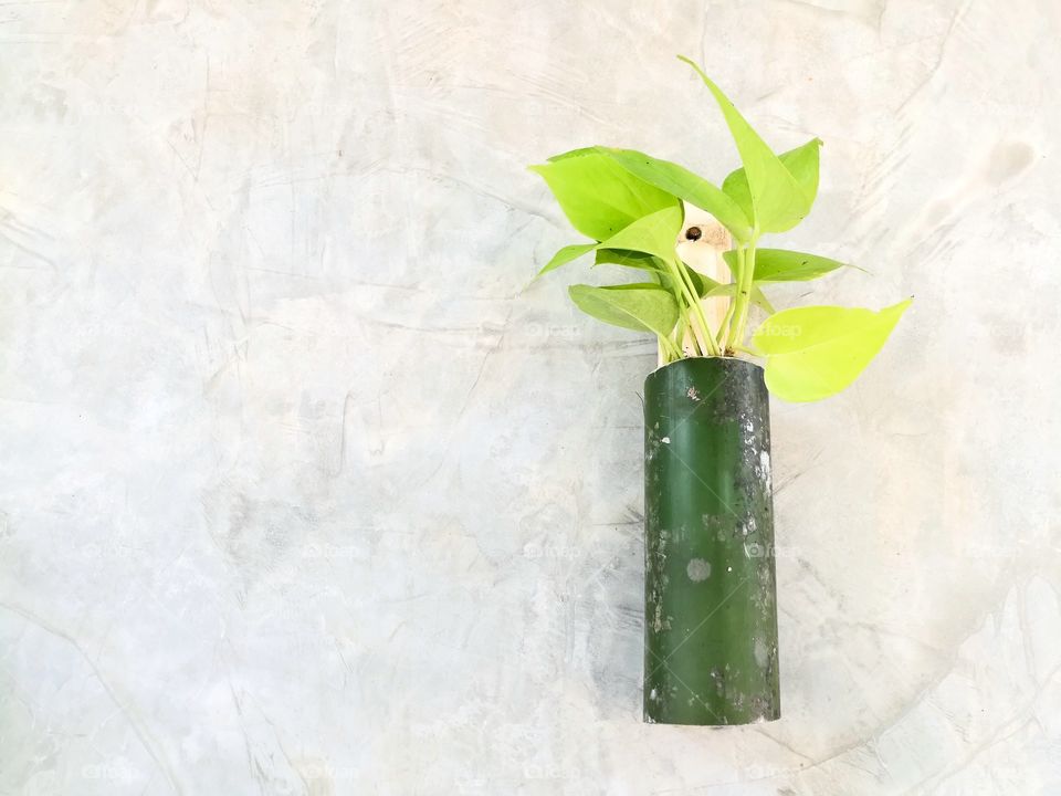 DIY bamboo vase on the concrete wall.