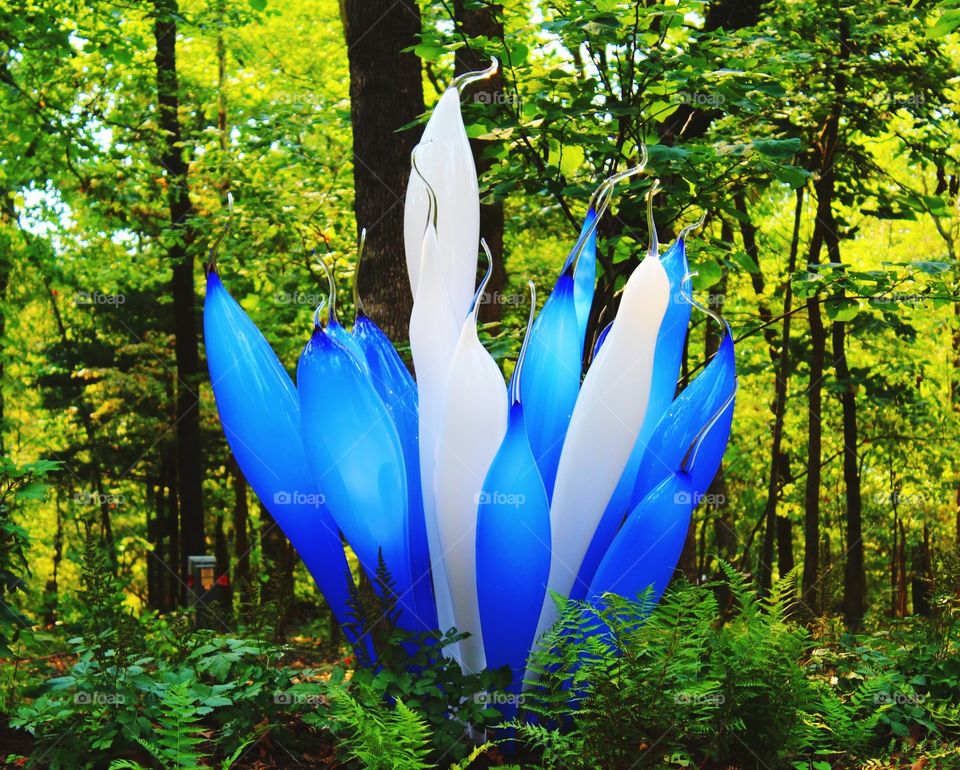 chihuly in the forest