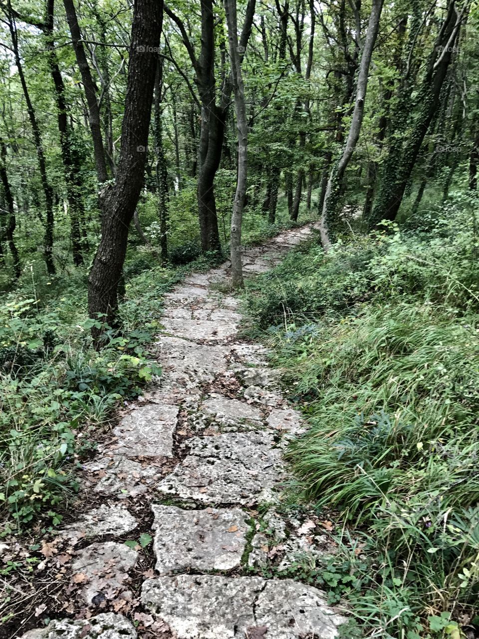 Witches trail
San Marino 