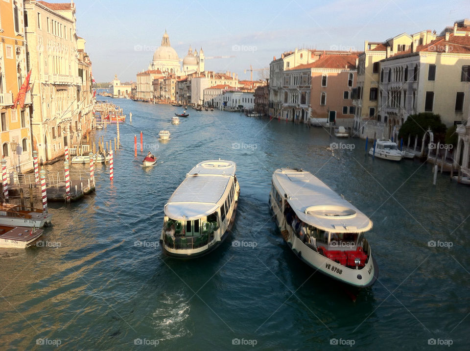 venice by fedeanimation