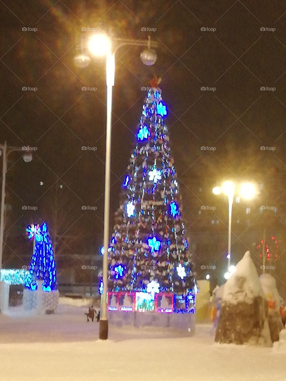 Ногодняя ель