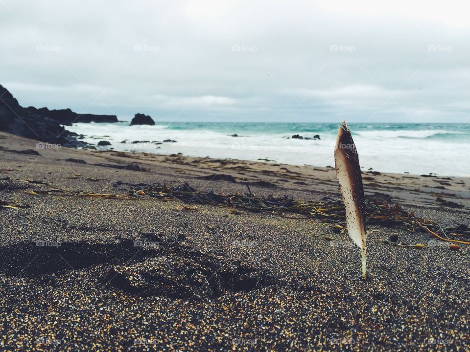 Beach, Sea, Water, Seashore, Ocean