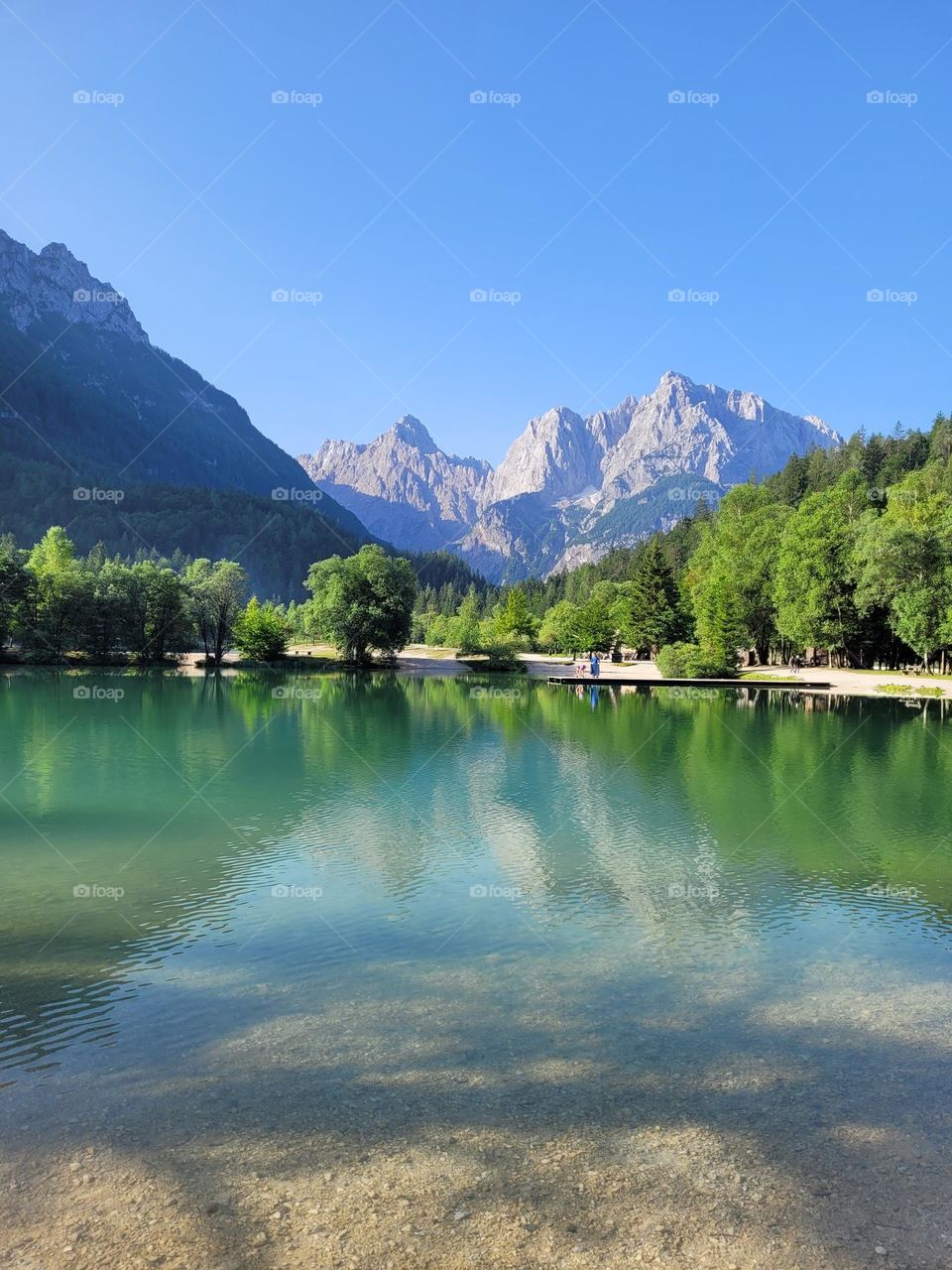 Peaceful lake by forest and mountains in summer in Slovenia.