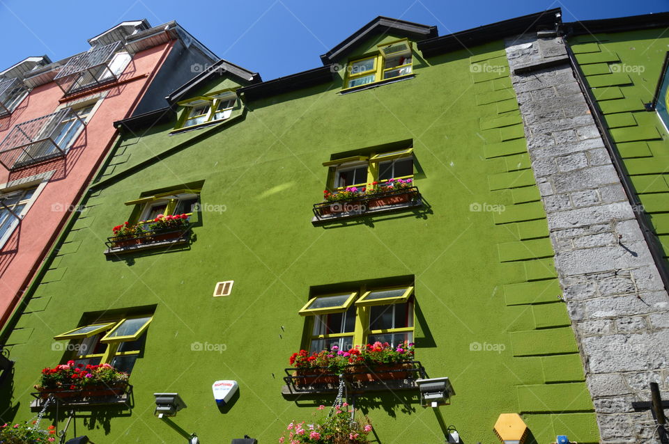 green facade of a building