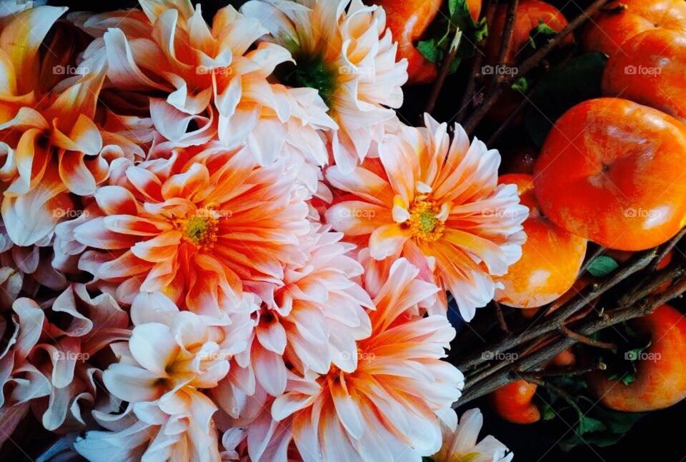 Dahlia & persimmon 