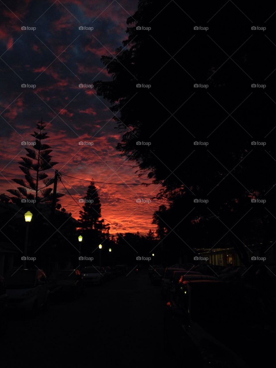 Magic moment afternoon