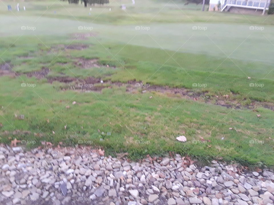 golf course ruts