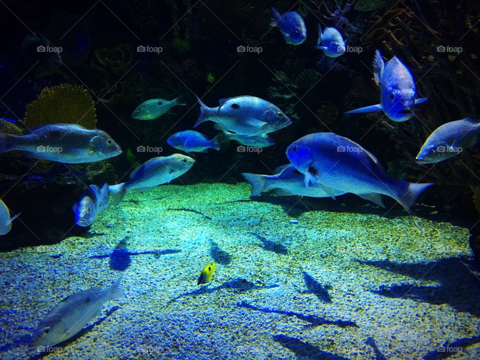 Beautiful underwater 