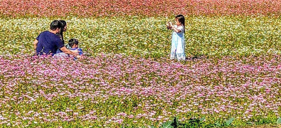 My favorite moment: happy to see that a cute little girl and a warm family in the flower sea.