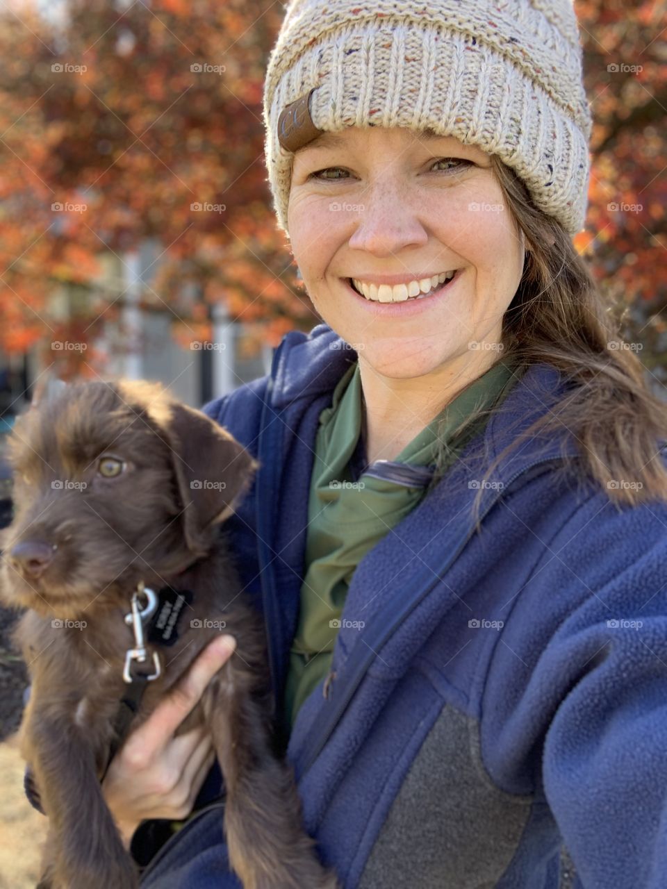 All the Puppy love! Triton the pudelpointer has stolen our hearts 