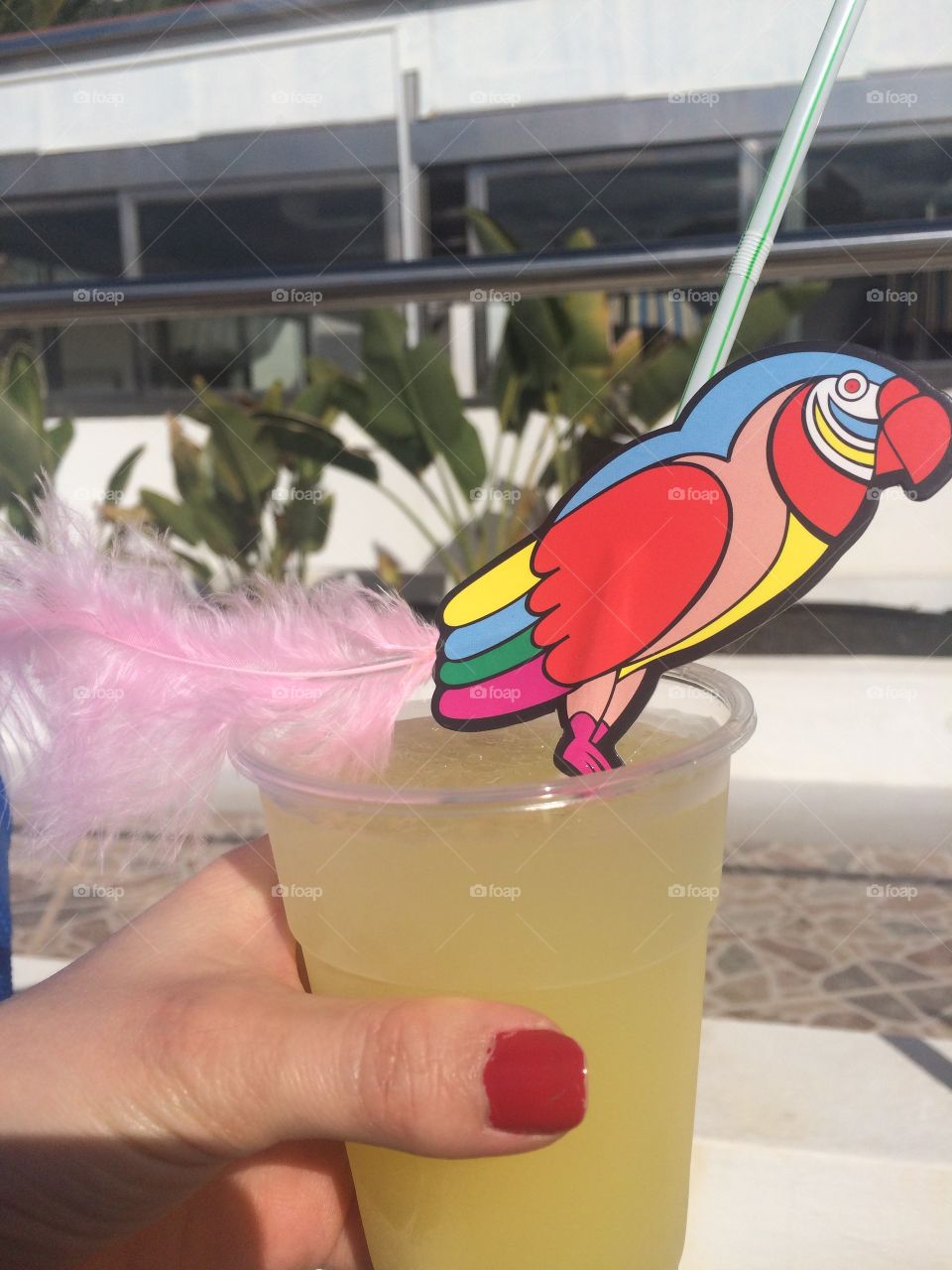 Cocktail with exotic parrot feather garnish