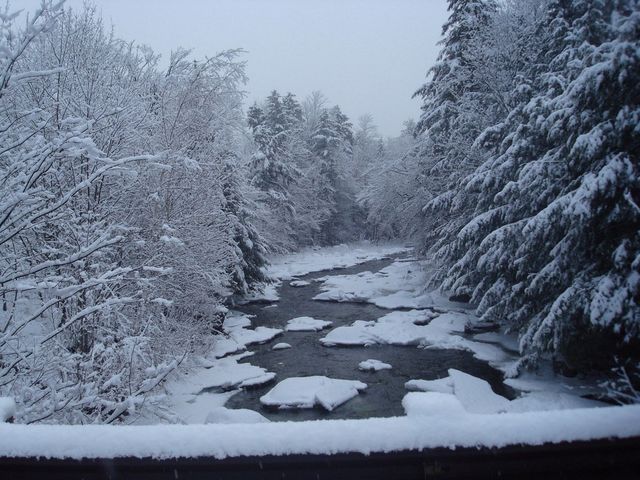 Winter