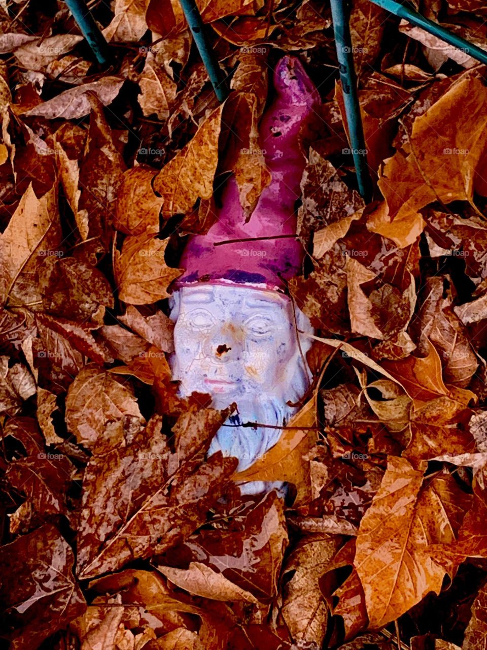 Fallen gnome 