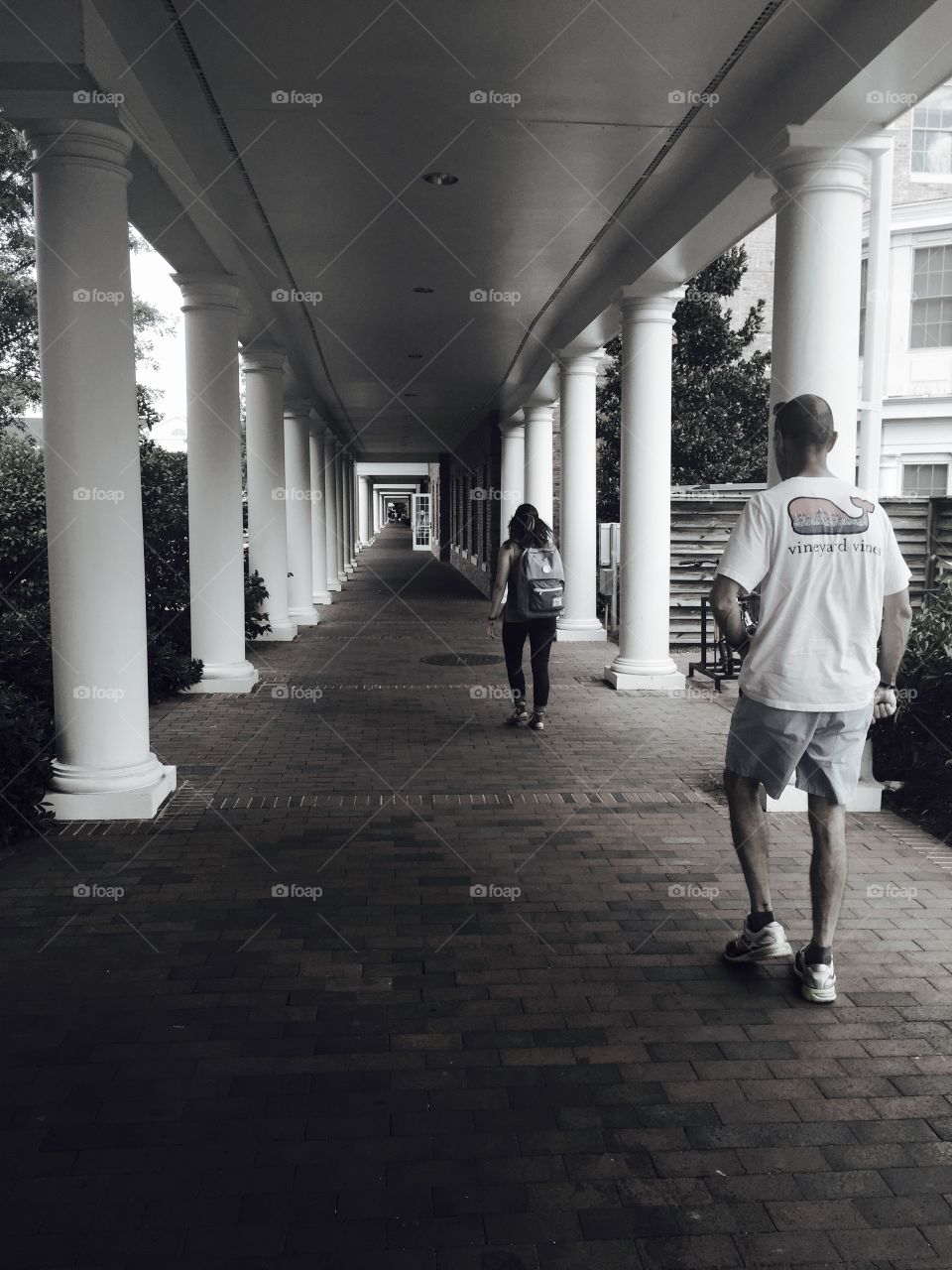 College University pillars architecture 