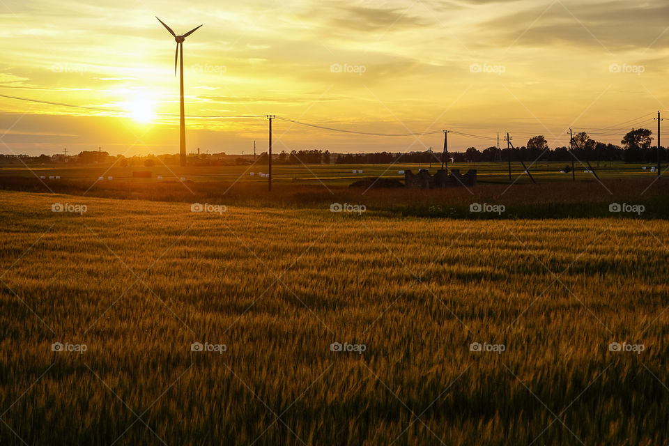 sunset near windmill