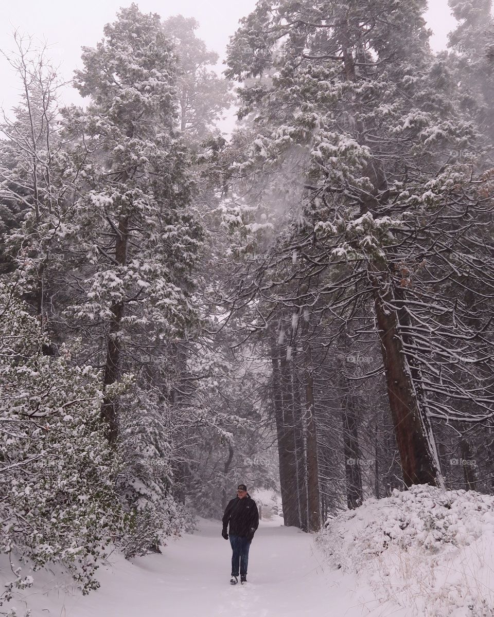 walk with giants