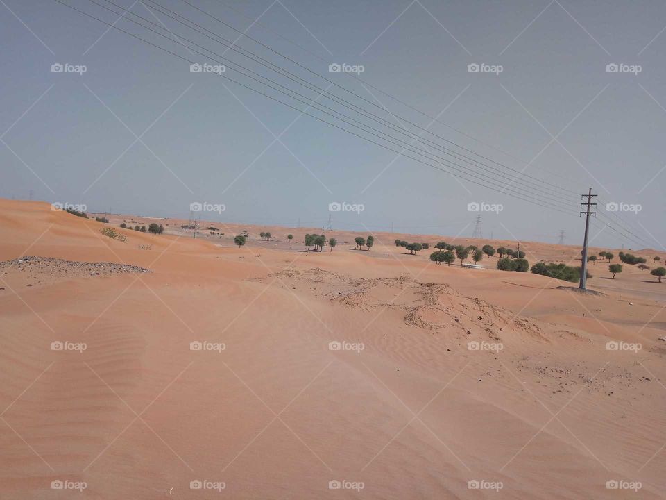 Desert of Sharjah United Arab Emirates
