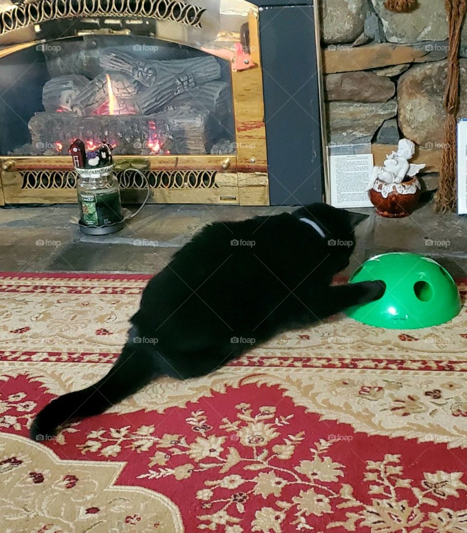 Black cat playing with mechanical toy, paw catching feathers.