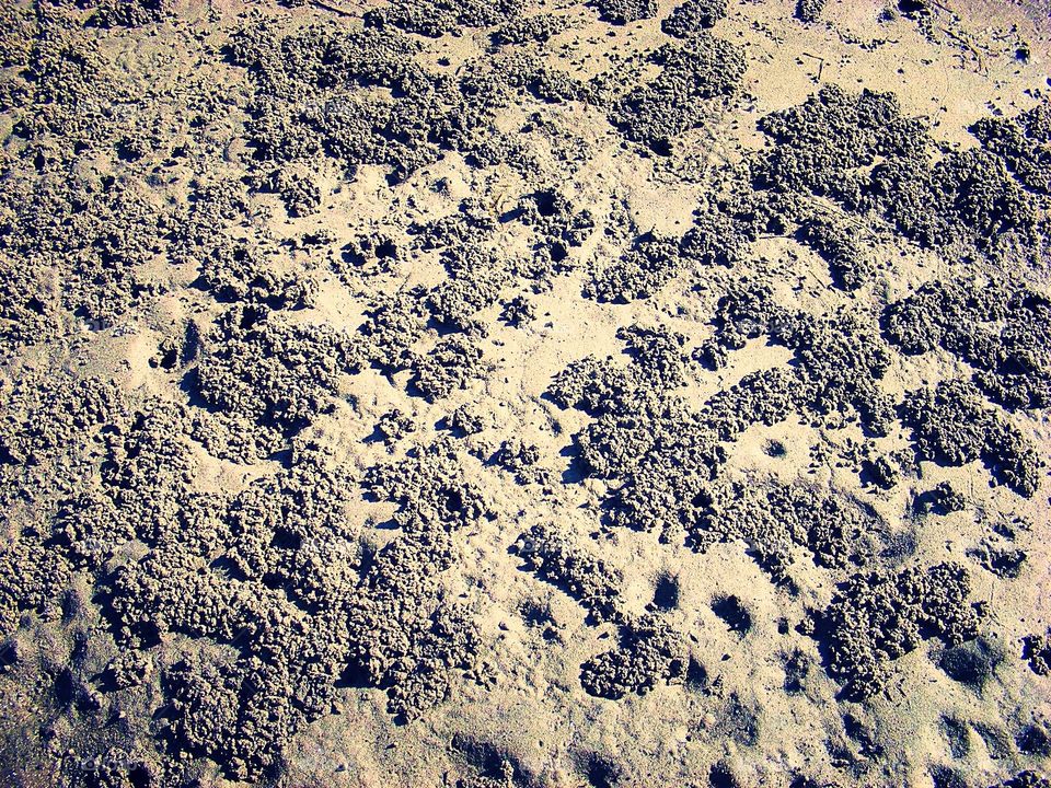 Sand pattern
Crab Holes