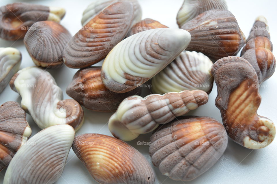 chocolate candies seashells on a white background top view beautiful texture