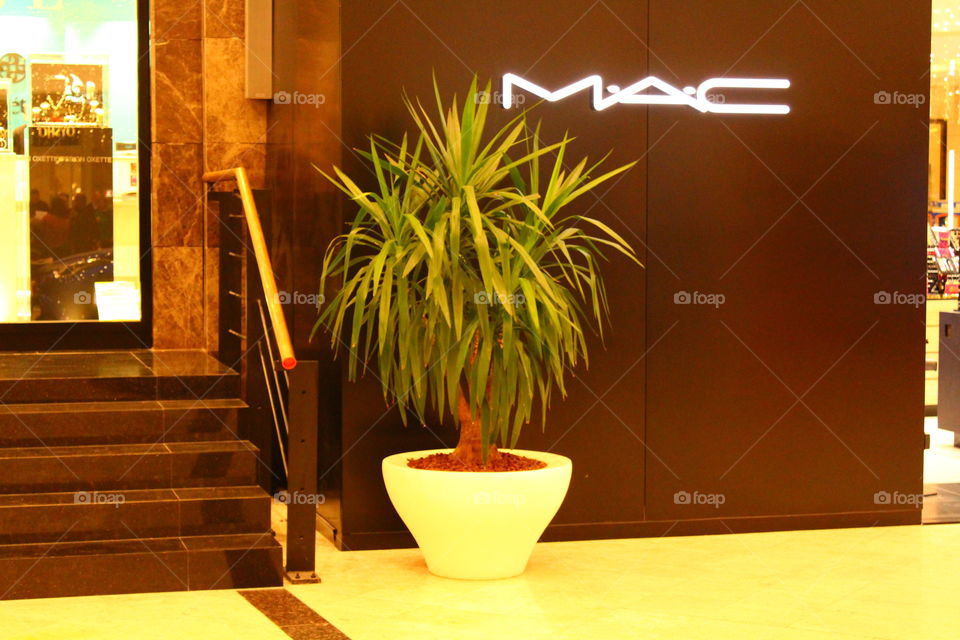 Mac store