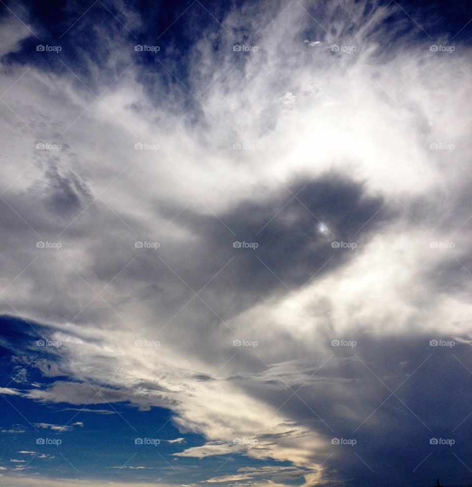 Bird Shaped cloud. Cloud shaped like bird